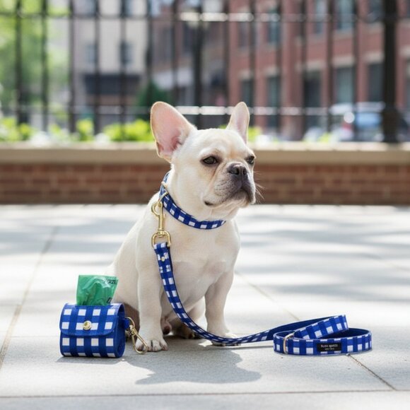 Woof! kate spade Dog Walking Set - NWT - Picture 1 of 8